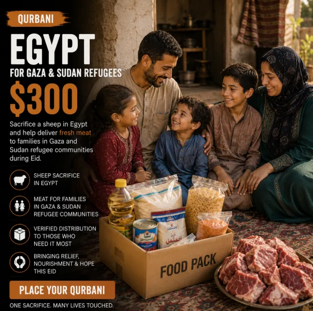 Egypt Sheep Qurbani for Gaza and Sudan Refugees